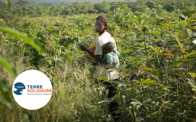 Total au Congo, les dessous de la compensation carbone