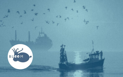 Un rapport inédit pour la transition sociale-écologique des pêches